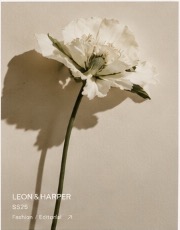 Leon & Harper SS25